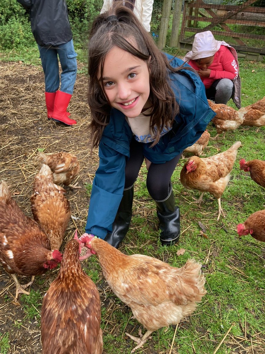 Willow Park C of E Primary School tweet media