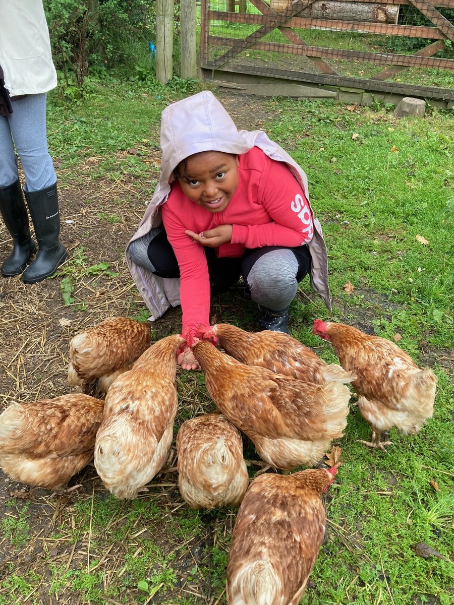 Willow Park C of E Primary School tweet media