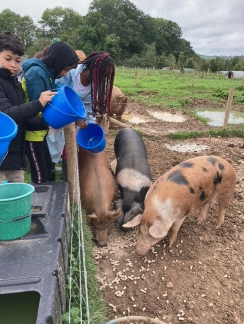 Willow Park C of E Primary School tweet media