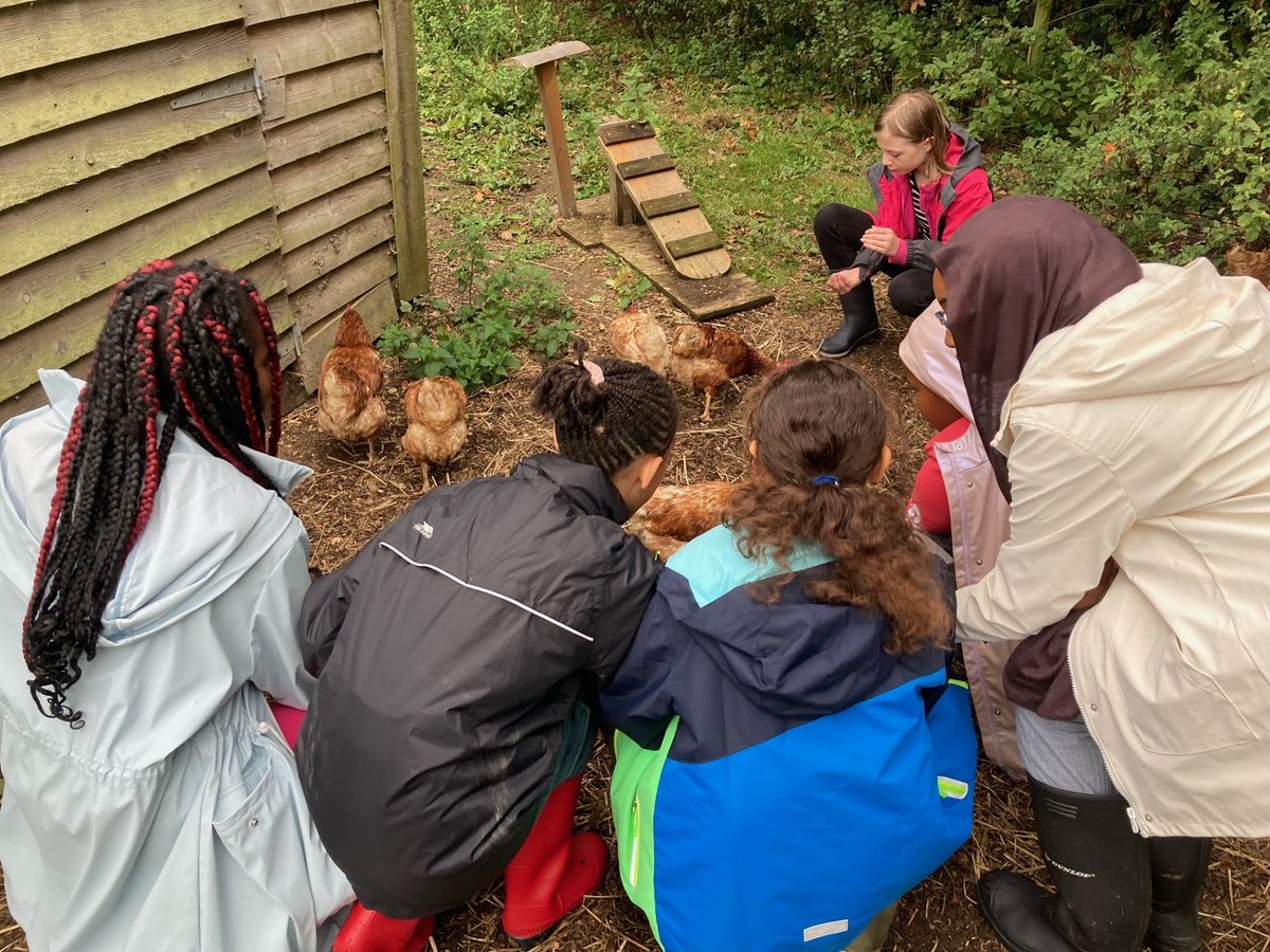 Willow Park C of E Primary School tweet media