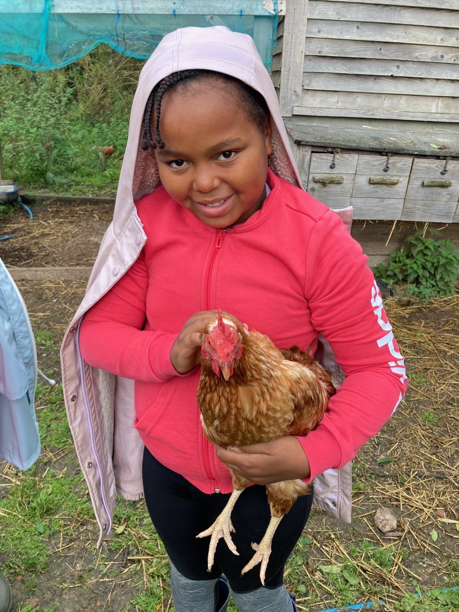 Willow Park C of E Primary School tweet media