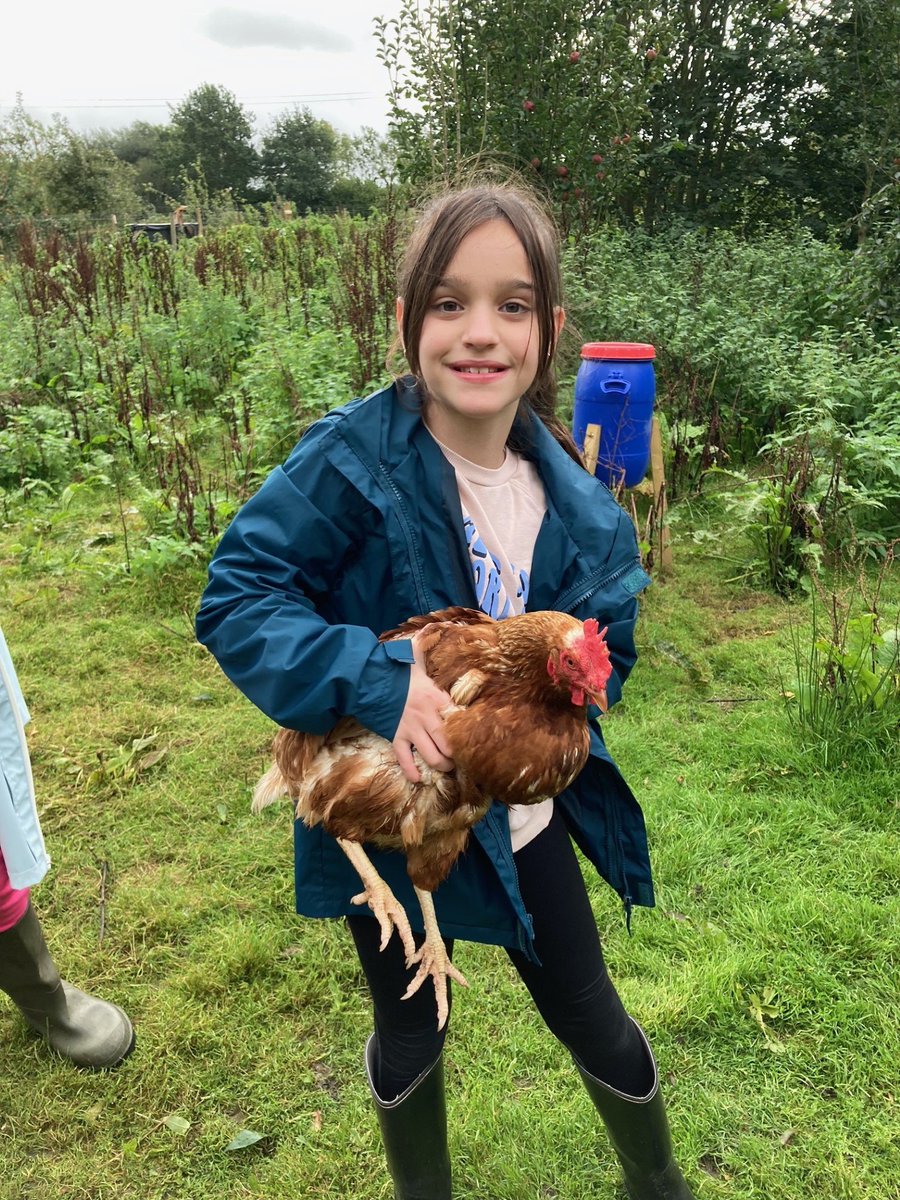 Willow Park C of E Primary School tweet media