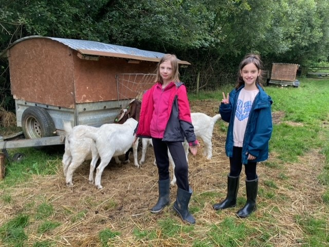 Willow Park C of E Primary School tweet media