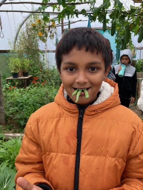 Willow Park C of E Primary School tweet media