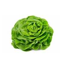 We’re being governed by a cabbage who’s influenced by a lettuce #GeneralElectionNow #r4today #gmb