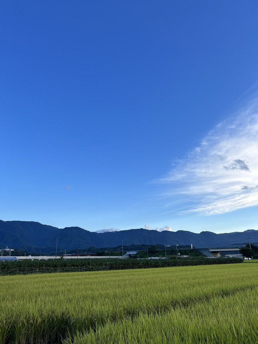 _ginman_'s tweet photo. 久しぶりの投稿です😎 https://t.co/2uz8lNszhL