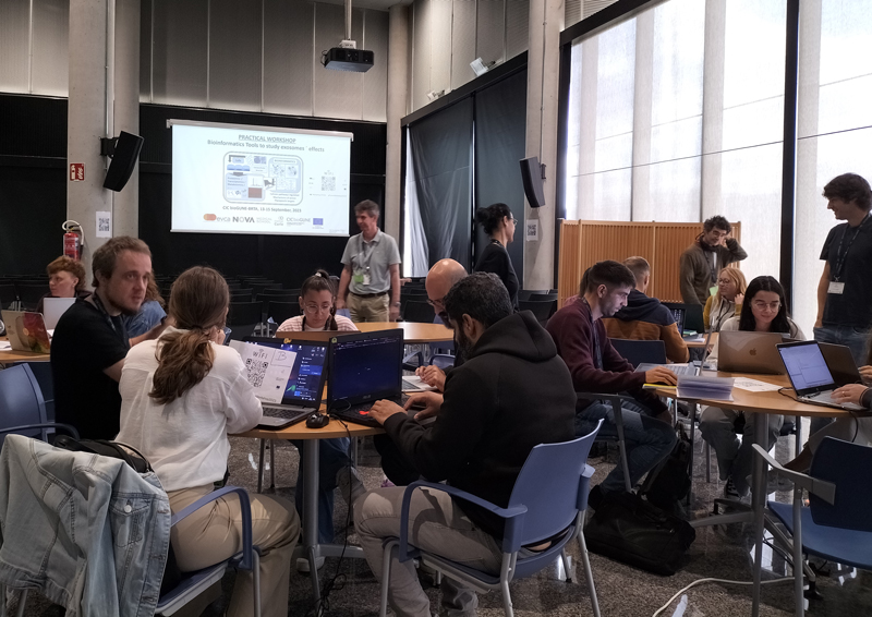 CIC bioGUNE (@cicbiogune) on Twitter photo 🌍 International #collaboration at its best
🖥️Researchers from #CICbioGUNE <a href="/nova_medschool/">NOVA Medical School</a> and the <a href="/institut_curie/">Institut Curie</a> concluded a 3-day practical #OMICS tech #workshop, organized as part of the European <a href="/EVCA_Twinning/">EVCA Twinning Project</a>
🔗ow.ly/sPQX50PNFI7 🌍 International #collaboration at its best
🖥️Researchers from #CICbioGUNE <a href="/nova_medschool/">NOVA Medical School</a> and the <a href="/institut_curie/">Institut Curie</a> concluded a 3-day practical #OMICS tech #workshop, organized as part of the European <a href="/EVCA_Twinning/">EVCA Twinning Project</a>
🔗ow.ly/sPQX50PNFI7