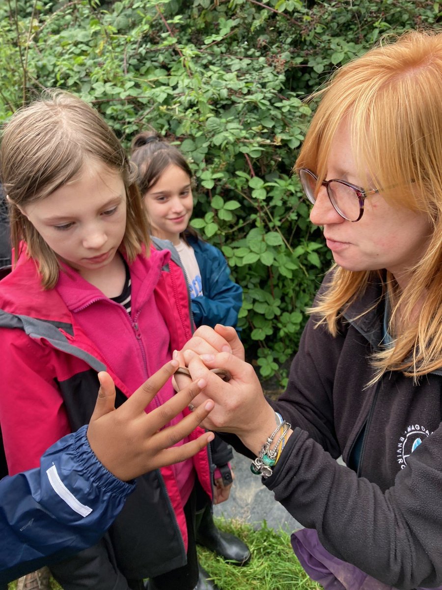 Willow Park C of E Primary School tweet media