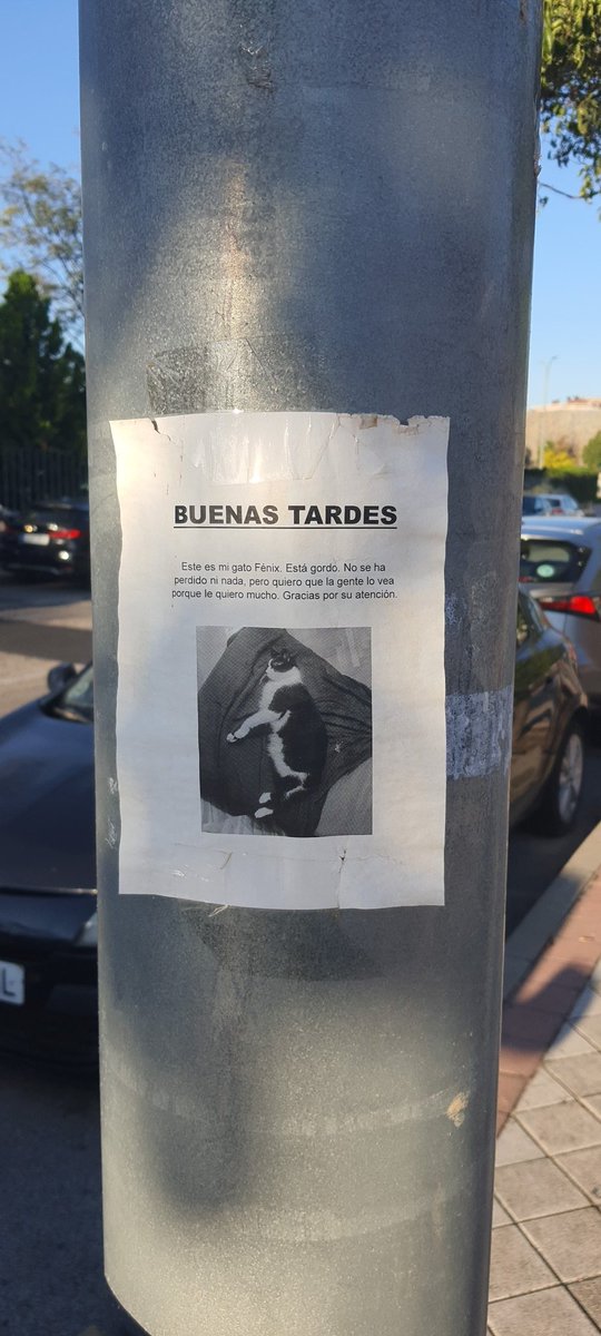 Visto en Fuenlabrada . 
Se ruega un RT, todo sea por el gato.