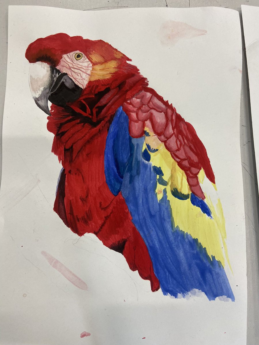 Wow after a big summer break, year 12 still got it! These watercolour skills are🔥#amazingNUSA #outstandingartist