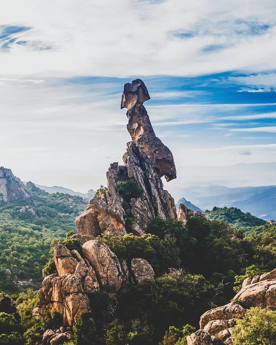 AutunnoBarbagia's tweet photo. Sapete che il paese di #Austis è
circondato da affascinanti paesaggi?
Nella vegetazione spuntano delle sculture rocciose
modellate dalla natura e dal tempo.
Sabato 23 e domenica 24 venite con noi ad ammirare
questo fantastico territorio! ☺️
Ph.: alberta.casula https://t.co/6qMNlD5uv4