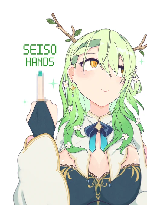 SEISO HANDS 