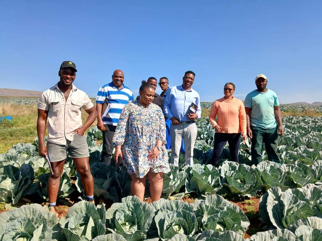 LeratoPillayZA's tweet photo. Pictures that feels to trend.
These guys are in the Eastern Cape, doing Agriculture full time.
It can be done my people ��🇦🖤

#PutSouthAfricansFirst https://t.co/o0K64XtiMV
