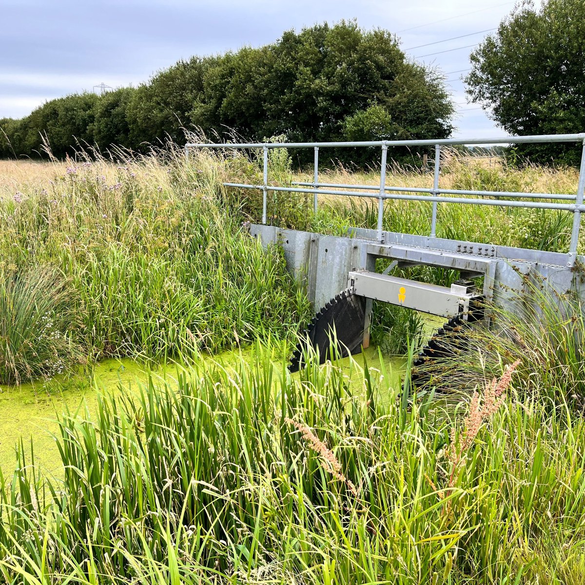 Calling all #InternalDrainageBoards (IDBs)! 📣

We’ve launched a £5m Lowland Agricultural Peat Small Infrastructure Pilot.

This will support IDBs to install infrastructure and tech that increases control of water levels to preserve lowland #peat.

Apply: find-government-grants.service.gov.uk/grants/ncf-low…