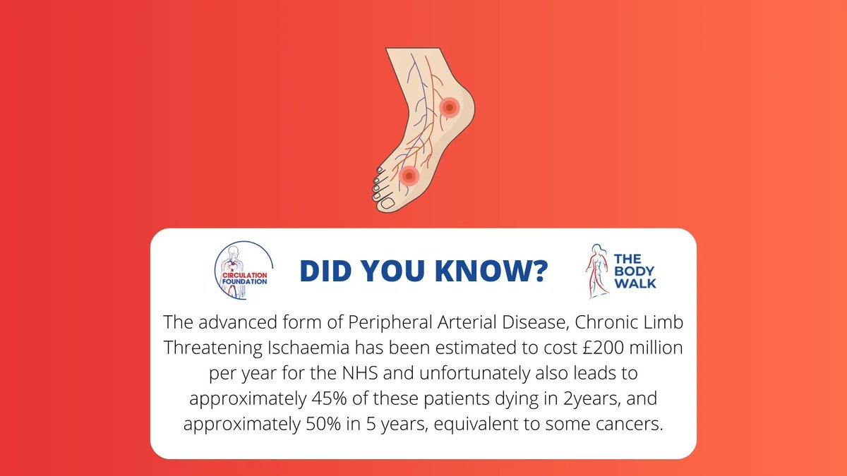 Circulation Foundation tweet media