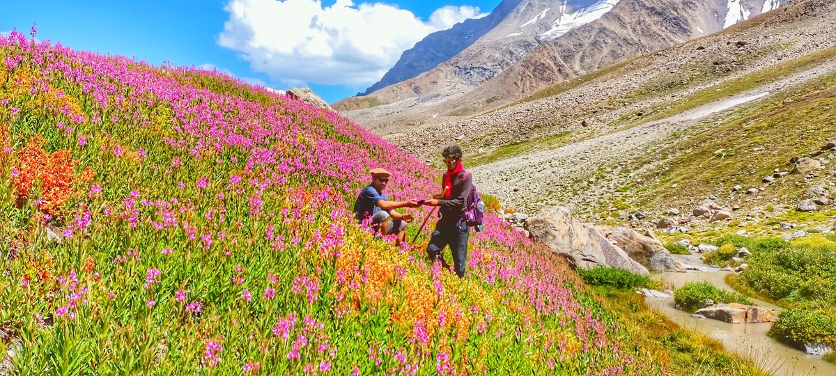sajidrazaali's tweet photo. Mountain is my home; I feel most alive here. My home town♥️
#Chelaindas #Lailapeak #Nangaparbat #RupalValley https://t.co/AGIsrDhRRD