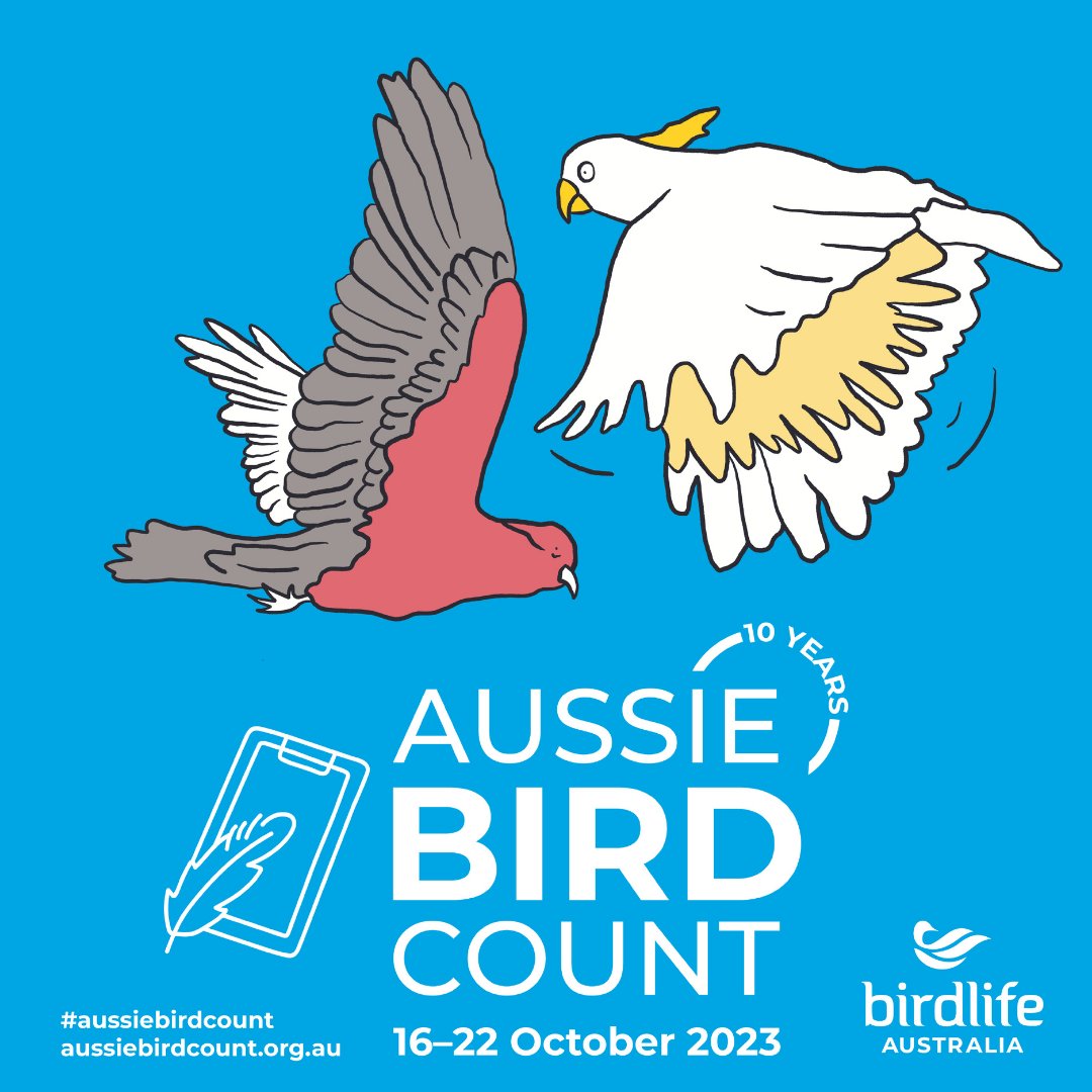 Time to get excited – #TheAussieBirdCount is less than a month away!

Spread the bird word by telling your friends, family, colleagues and neighbours all about it, so we can make this count our biggest yet.

To register for the 2023 Aussie Bird Count visit aussiebirdcount.org.au