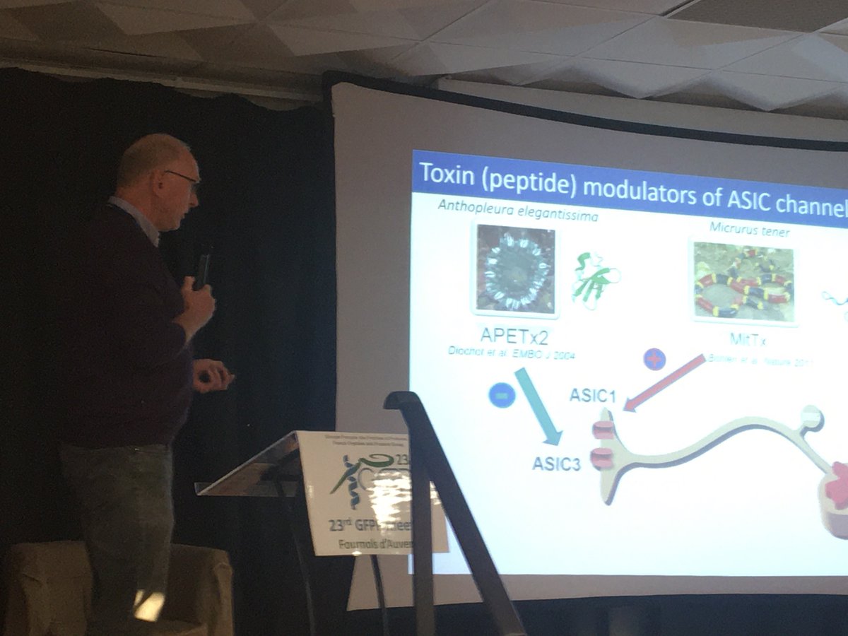 Great presentation from Eric Lingueglia on Peptide Inhibitors of ASICs #GFPP23 #analgesia #CIR3