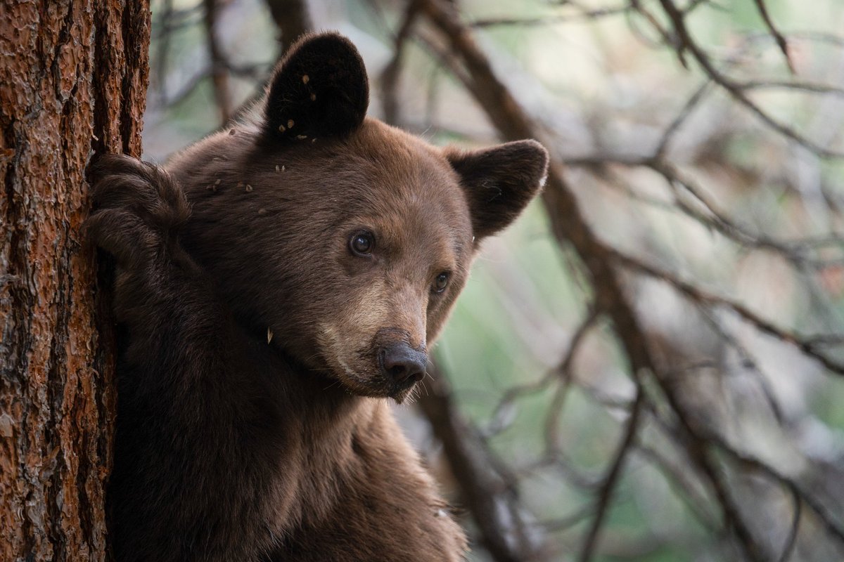 Hunter Welsh tweet media