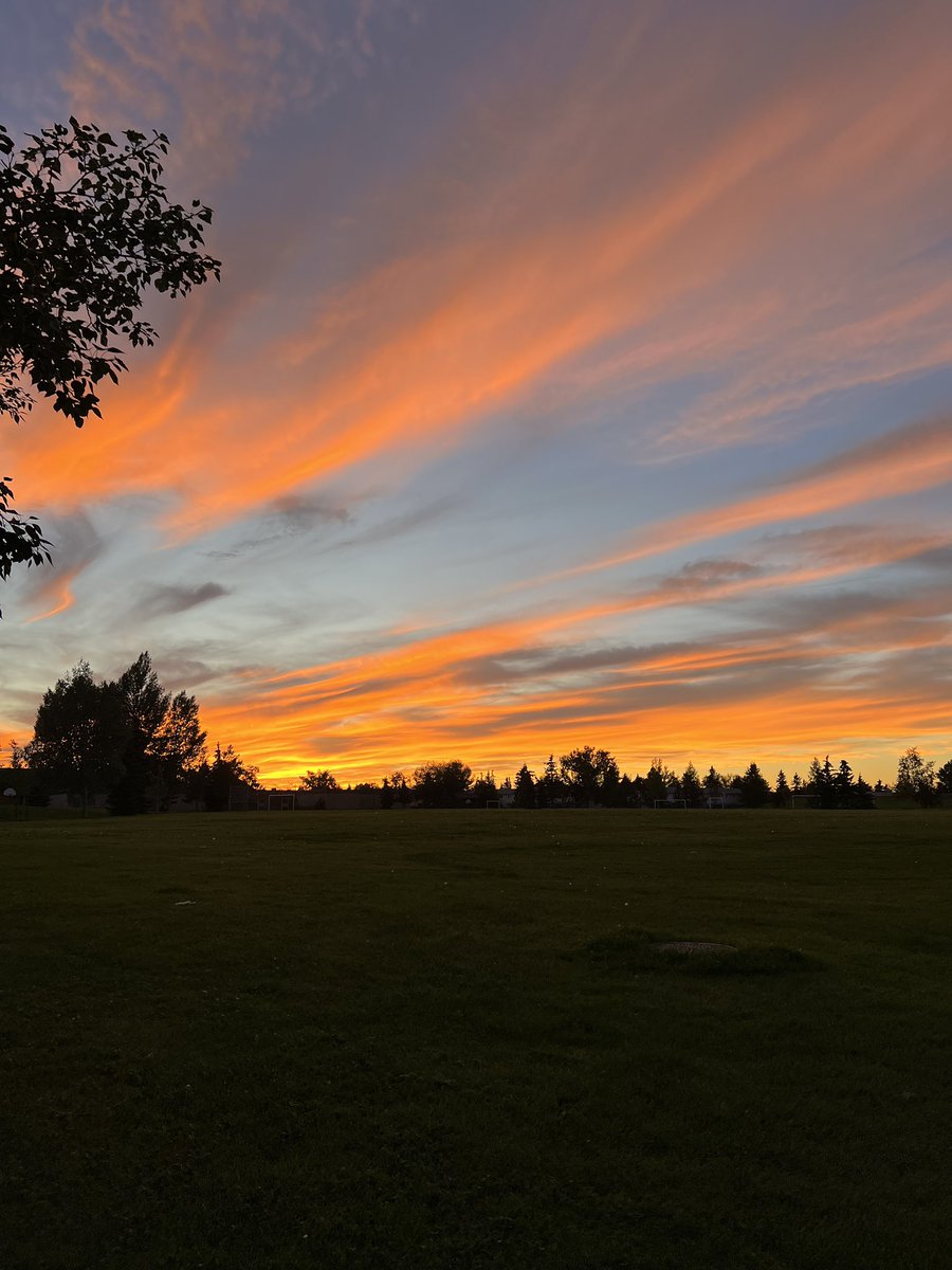 TashaLeeAndCrew's tweet photo. @BraydenCreation Edmonton, Alberta https://t.co/OSbnoXQP1f