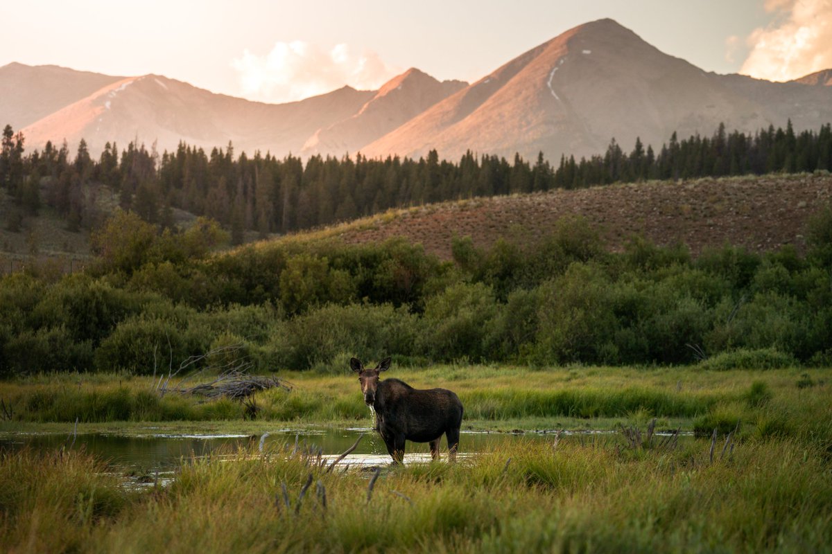 Hunter Welsh tweet media