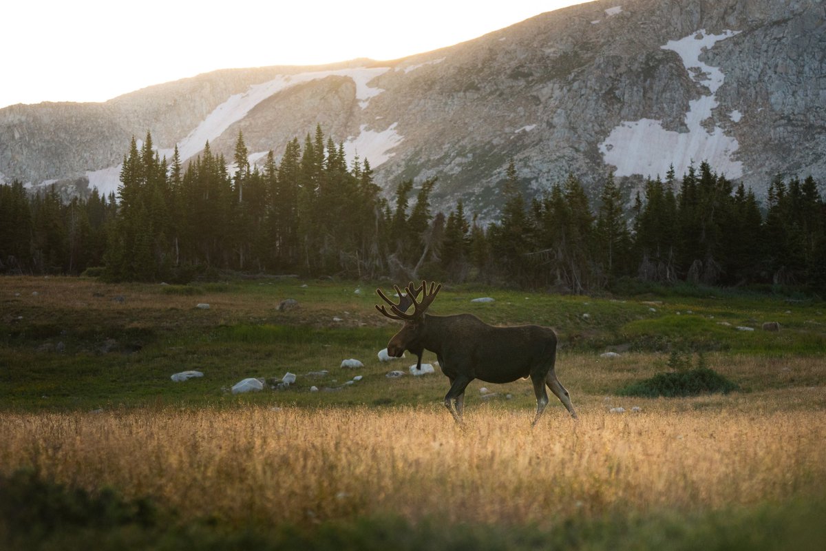 Hunter Welsh tweet media