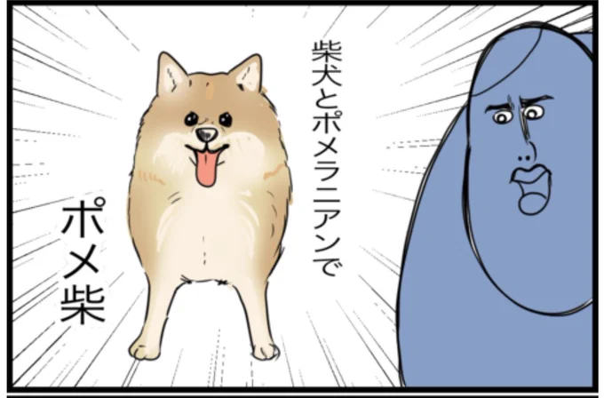 ブログかきました🐕
https://t.co/qvI5yerJiT 