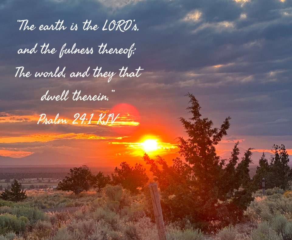 Guide4TruthTV's tweet image. 