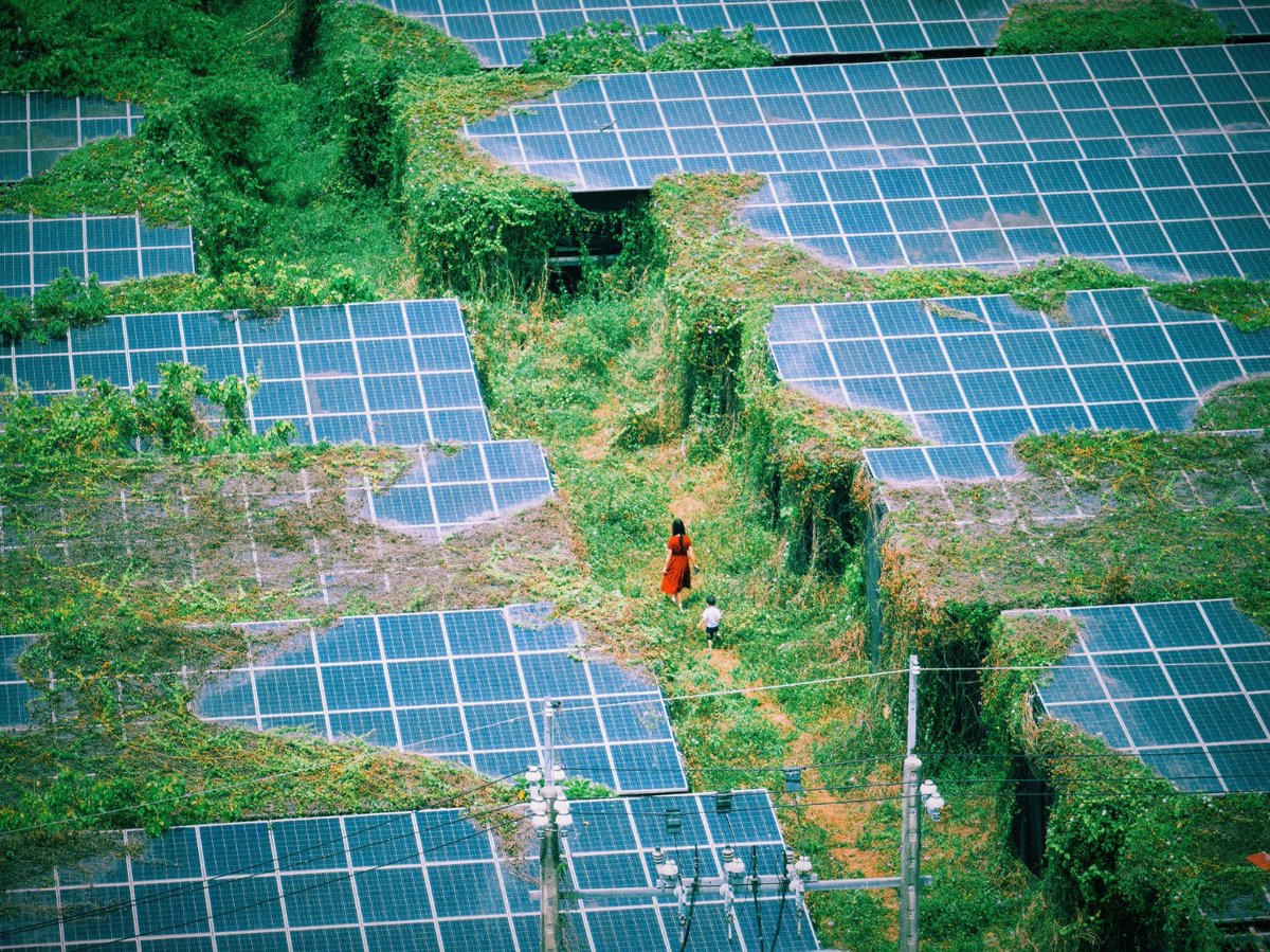 Truly sad that this is one of the winners for the 2023 National Geographic Taiwan Photo Contest. 

I’m going to guess this is abandoned solar panels in the Liujia district of Tainan. Congratulations to Lin Yi-Hsuan (林儀瑄) for the great capture. 

natgeomedia.com/photocontest/w…