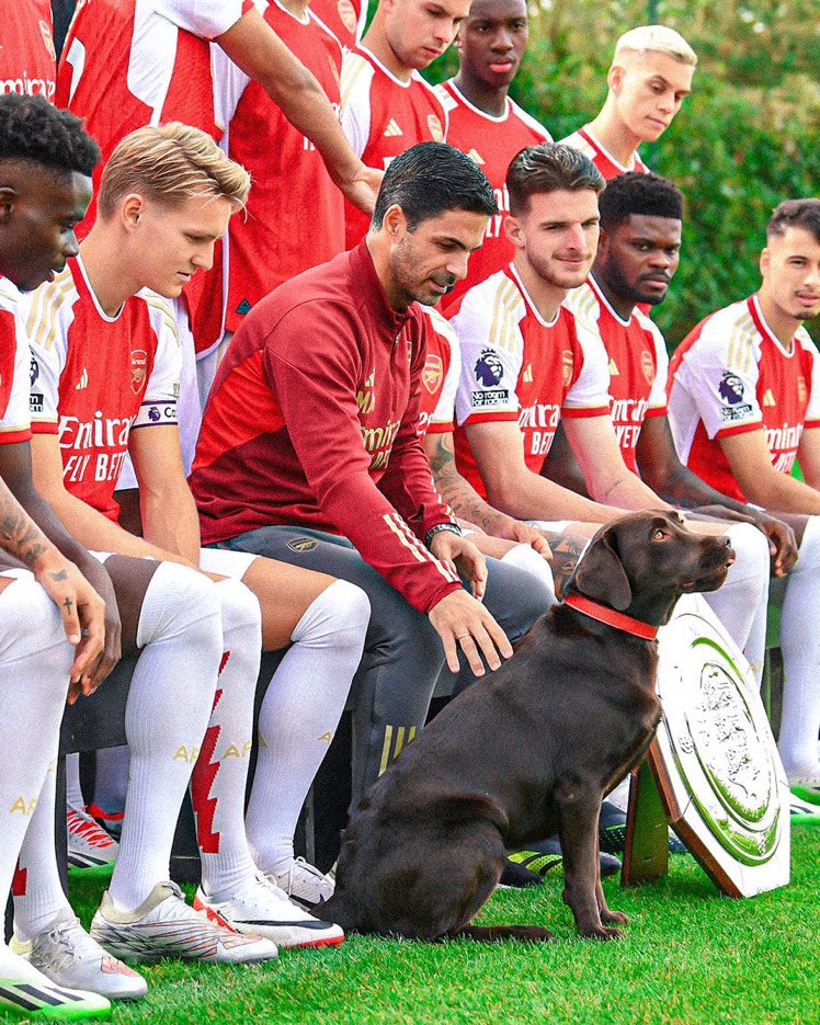 El perro del Arsenal, Win, hizo parte de la sesión de fotos de la plantilla para la
temporada 2023-2024. 🔴🐶
