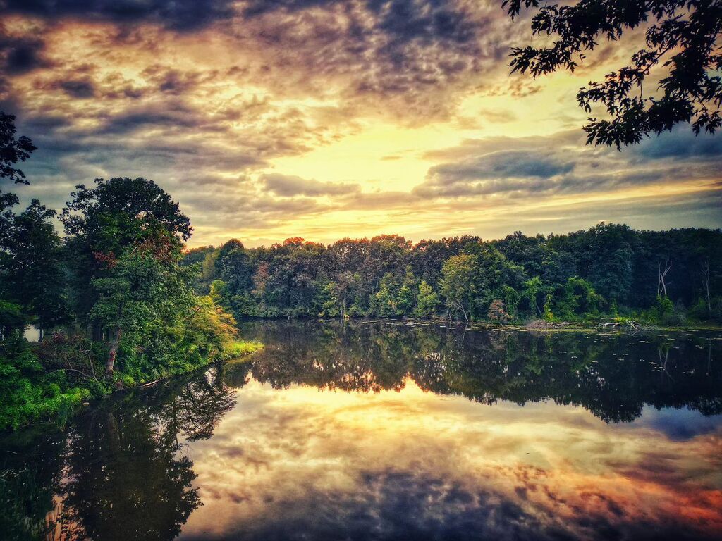 Imar4life's tweet photo. #Sunset #GoldenHour #DroneShots #Michigan #LoveTheView #Dji #Travel #Photography https://t.co/g5jQ4ynTPj https://t.co/YMh0qvzXEu