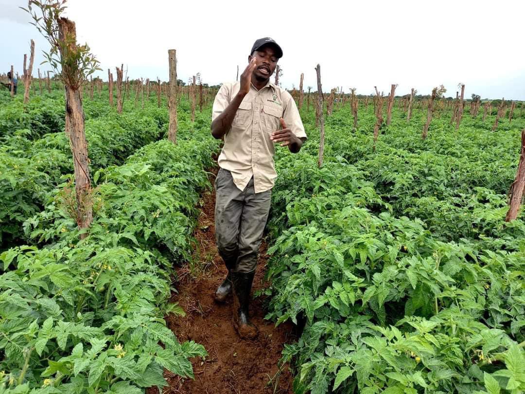 Wenceslous Nyamupfukudza tweet media