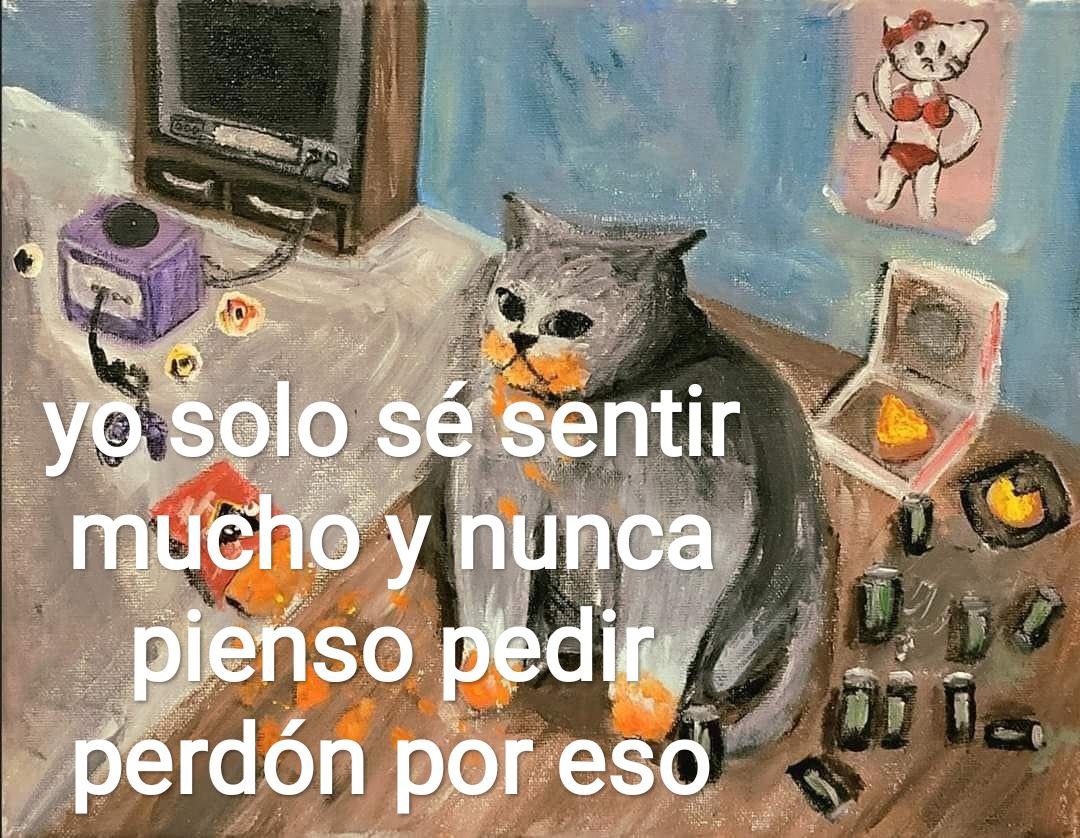 no pienso pedir perdón