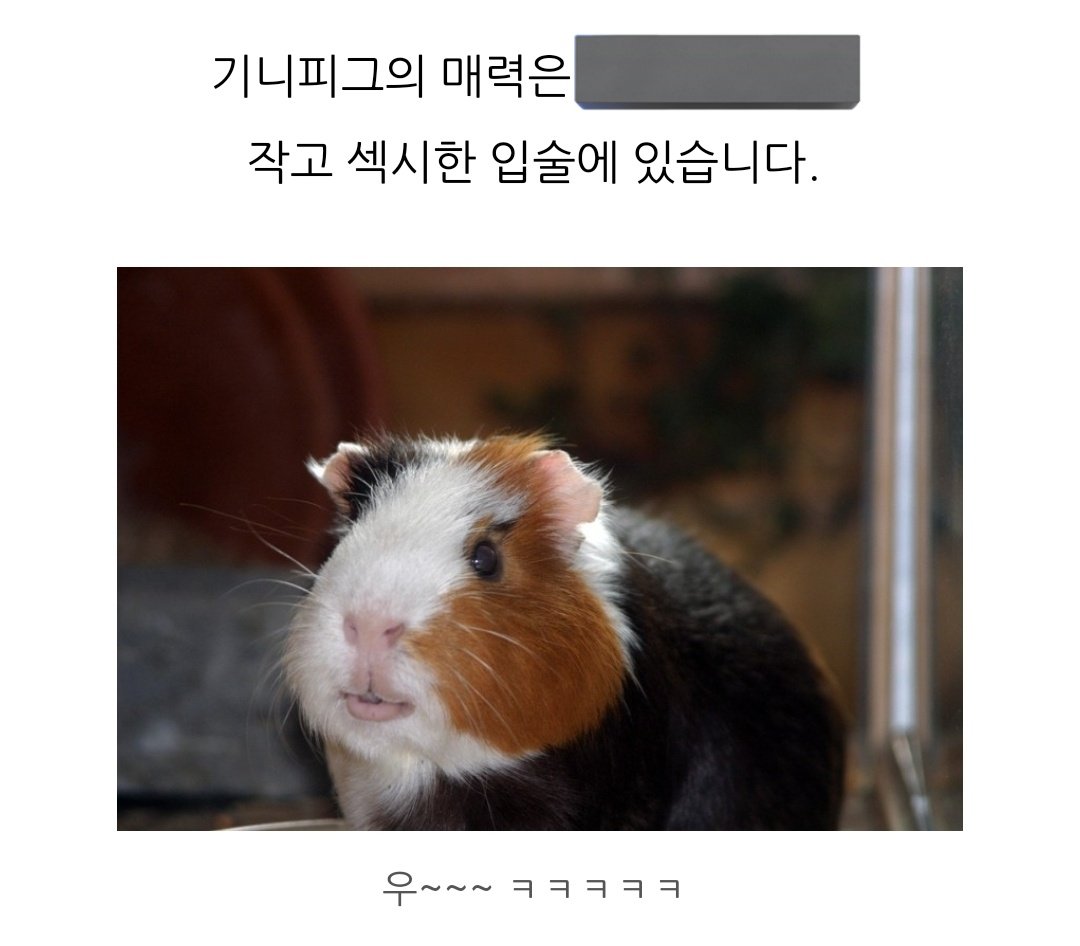 정수기니
입술이 똑같다..