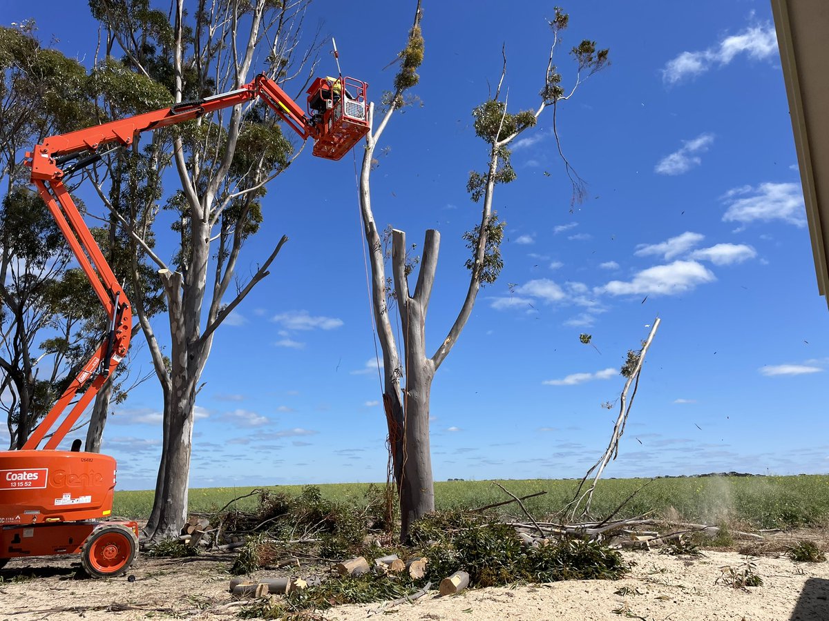 Tom’s Brook Farm tweet media