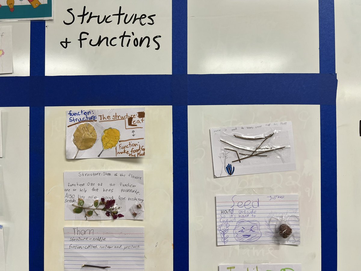 Mrs.Bone's Class tweet media