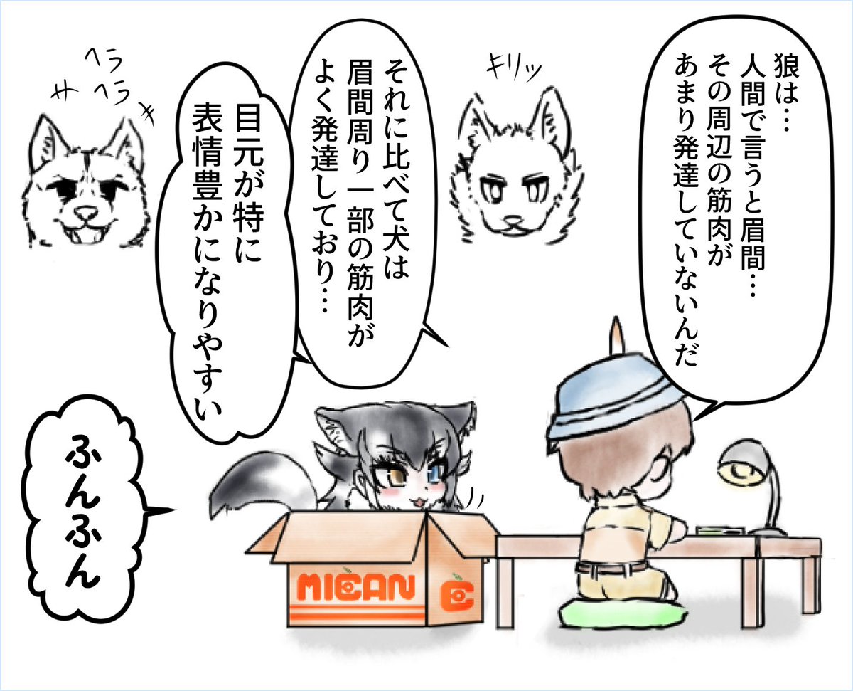 (1/2) 