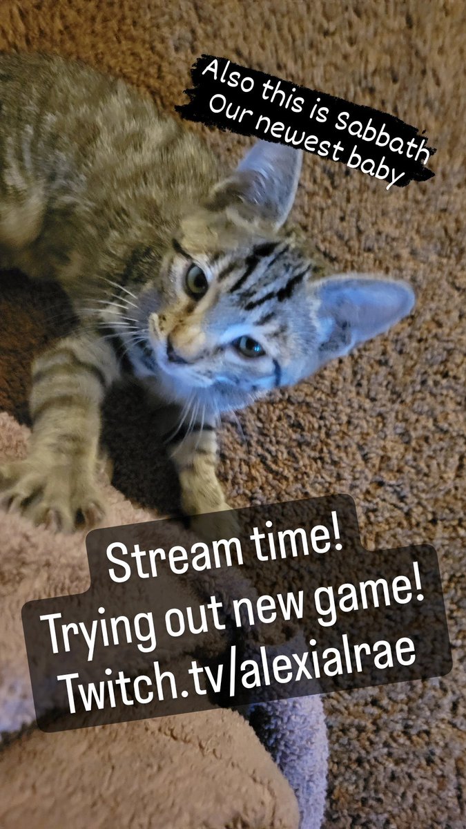 Live now with a new game! Trying out #LiesofP 
Twitch.tv/alexialrae 
#soulslike #twitchstreamer #kitty #smolstreamer