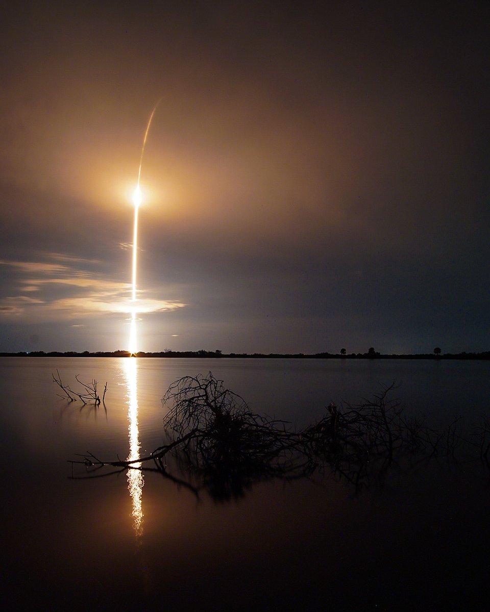 Jordan Sirokie tweet media