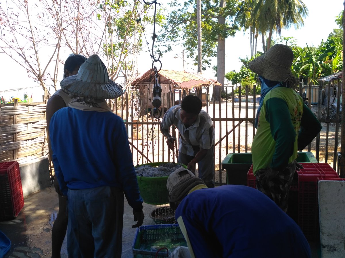 Syaiful Anwar tweet media