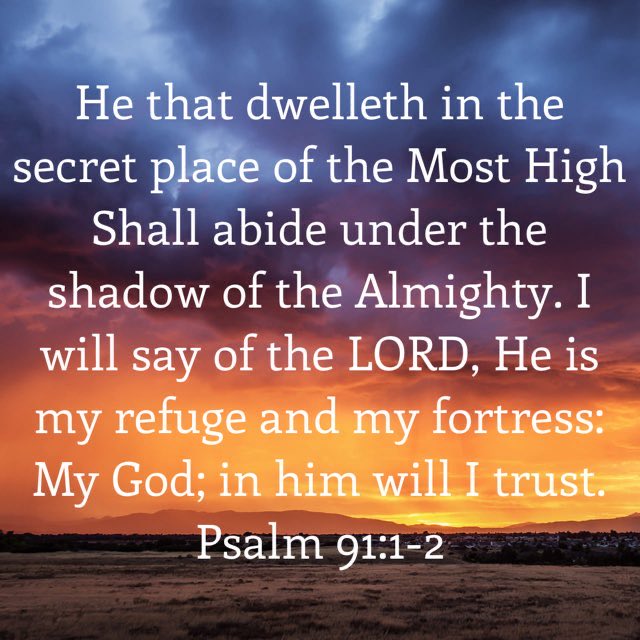 TanasTim's tweet image. bible.com/bible/1/psa.91…