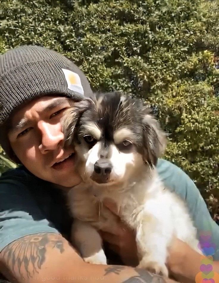 jetblkvalntyne's tweet image. ✨Adopt a pet with 5sos based on your preferences! ✨
Quote with what you get and don’t forget the name the little baby 🥹