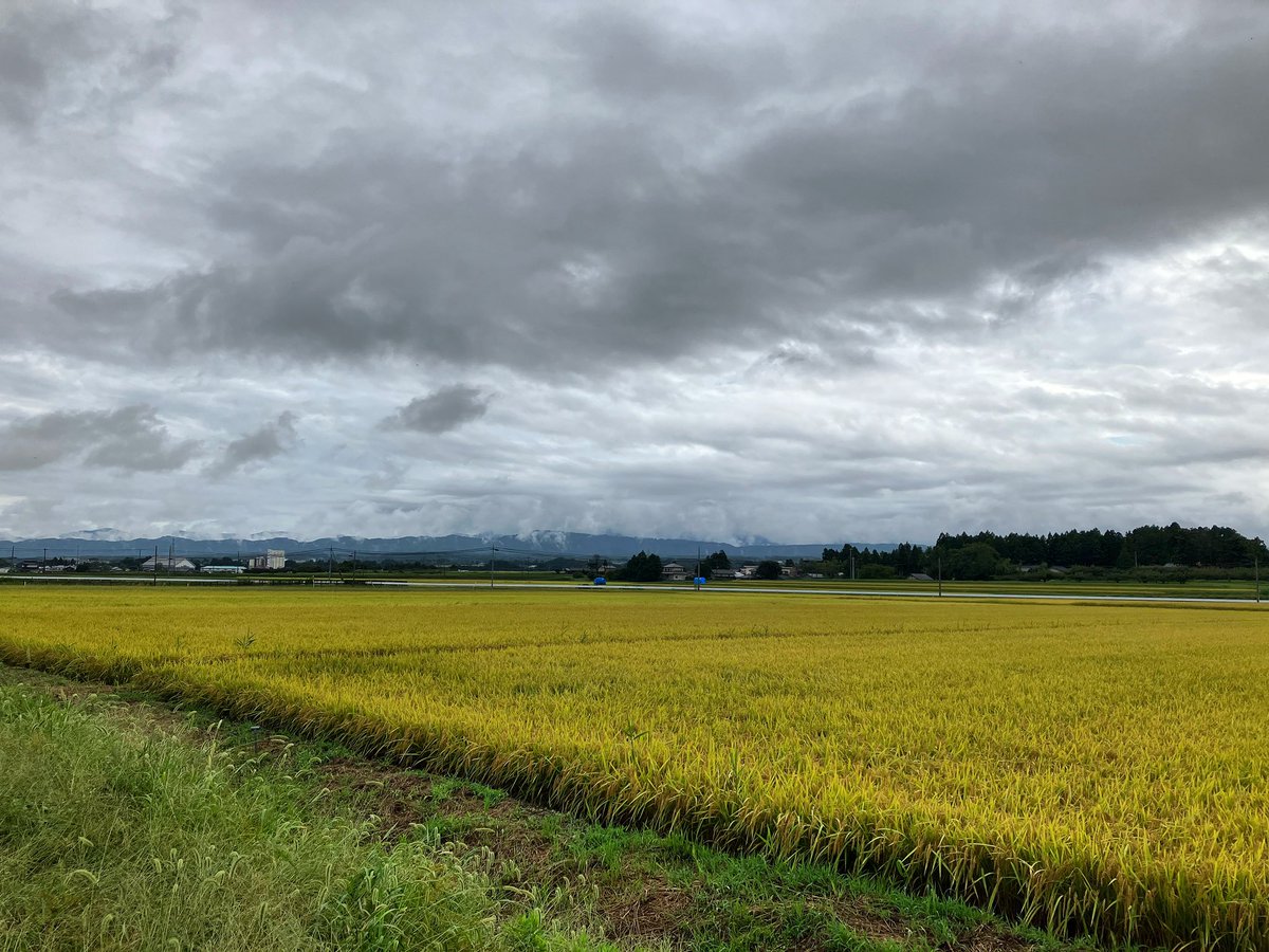 土曜の風景 #landscape