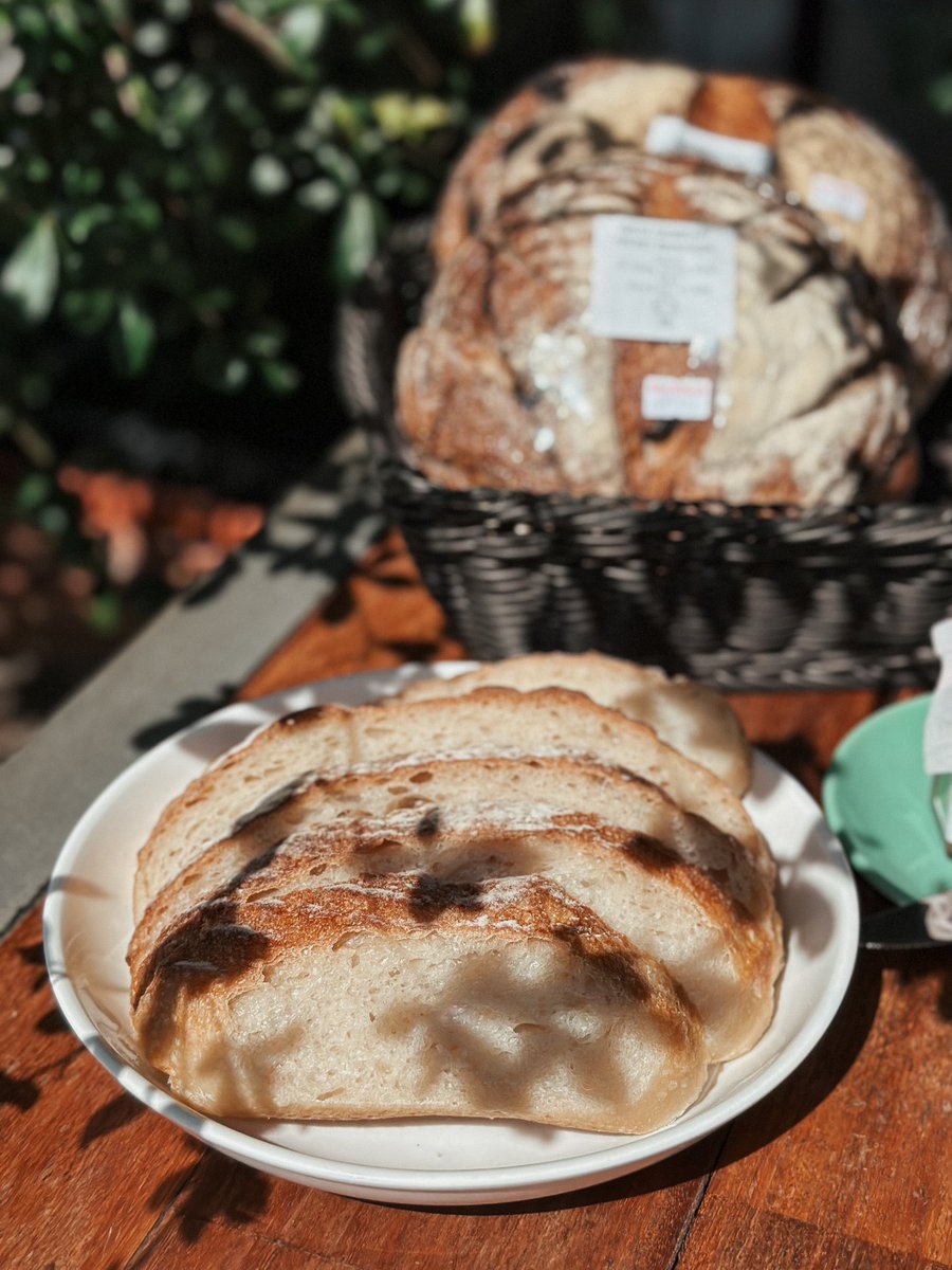 tedboybakery's tweet image. ❤️ Sourdough for a sweet picnic at the park! 
That will be on my checklist for this weekend activities ❤️‍🔥
 #tedboy #sourdough #picnic #playground