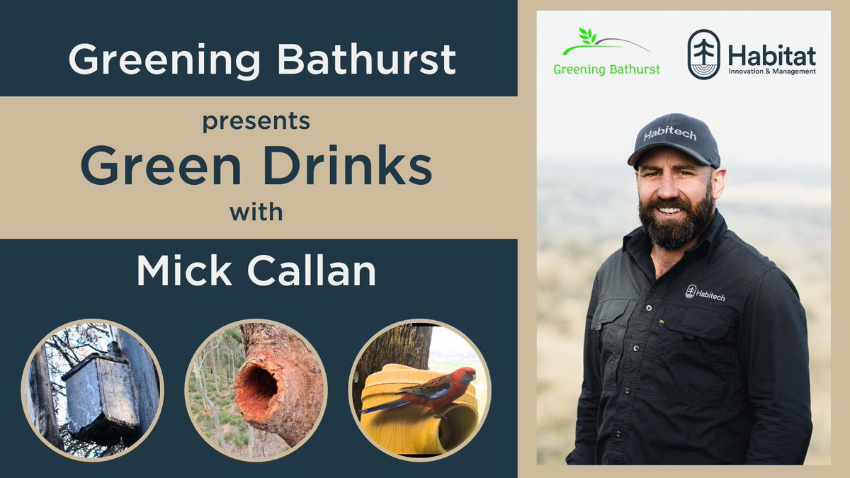 Habitat Innovation & Management (@habitatinnov) on Twitter photo Our Director and Principal Ornithologist, <a href="/Mick_Callan/">Mick Callan</a>, will be presenting at the next Green Drinks event hosted by Greening Bathurst on Thursday 28 September.
Come along to the The Greens on William - Bathurst at 5:30pm to hear Mick discuss "The Hollow Crisis". Our Director and Principal Ornithologist, <a href="/Mick_Callan/">Mick Callan</a>, will be presenting at the next Green Drinks event hosted by Greening Bathurst on Thursday 28 September.
Come along to the The Greens on William - Bathurst at 5:30pm to hear Mick discuss "The Hollow Crisis".