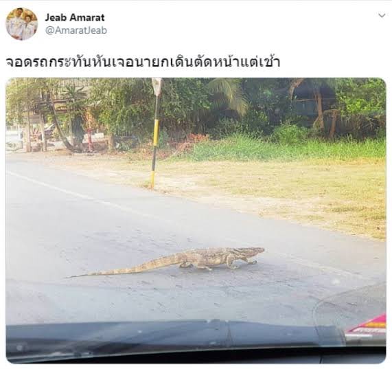 คนป. tweet media