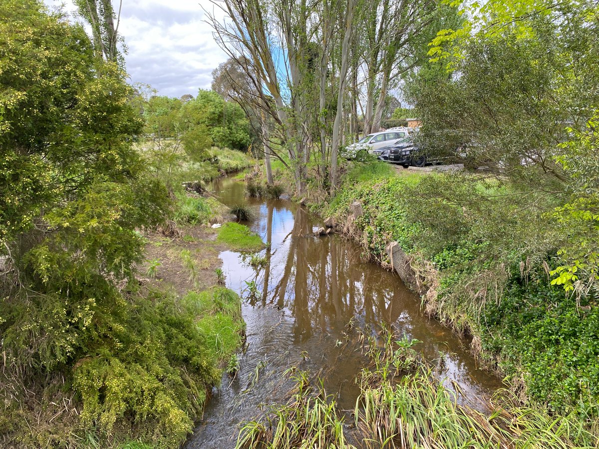 Over the past two years, the Goulburn Broken Catchment Management Authority (GB CMA) has supported community groups and land managers, such as local governments, to undertake improvements to waterway health in urban environments.