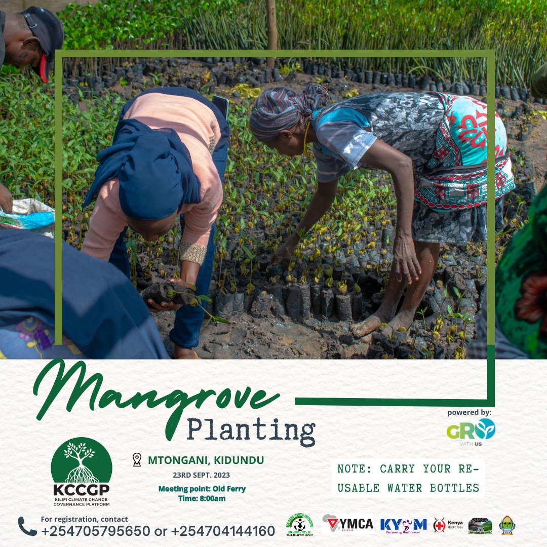KCCGP_'s tweet photo. Mark the date ..we are doing it again #60MillionMangrove #KCCGP @KYOM @DannyGona @JoanMagoma @inamohaa @UNDPClimate @Muiruriliz1 https://t.co/cECrsTnFSS