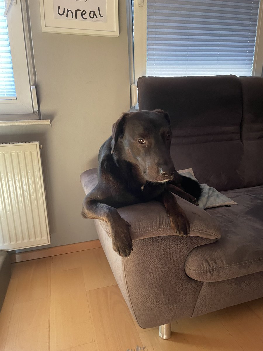 Guten Morgen liebes #Twitterrudel, meine Motivation hält sich heute bisher sehr in Grenzen… naja, mal schauen was der Tag so bringt 😃. 
Habt den Tag pfein Pfreunde ❣️