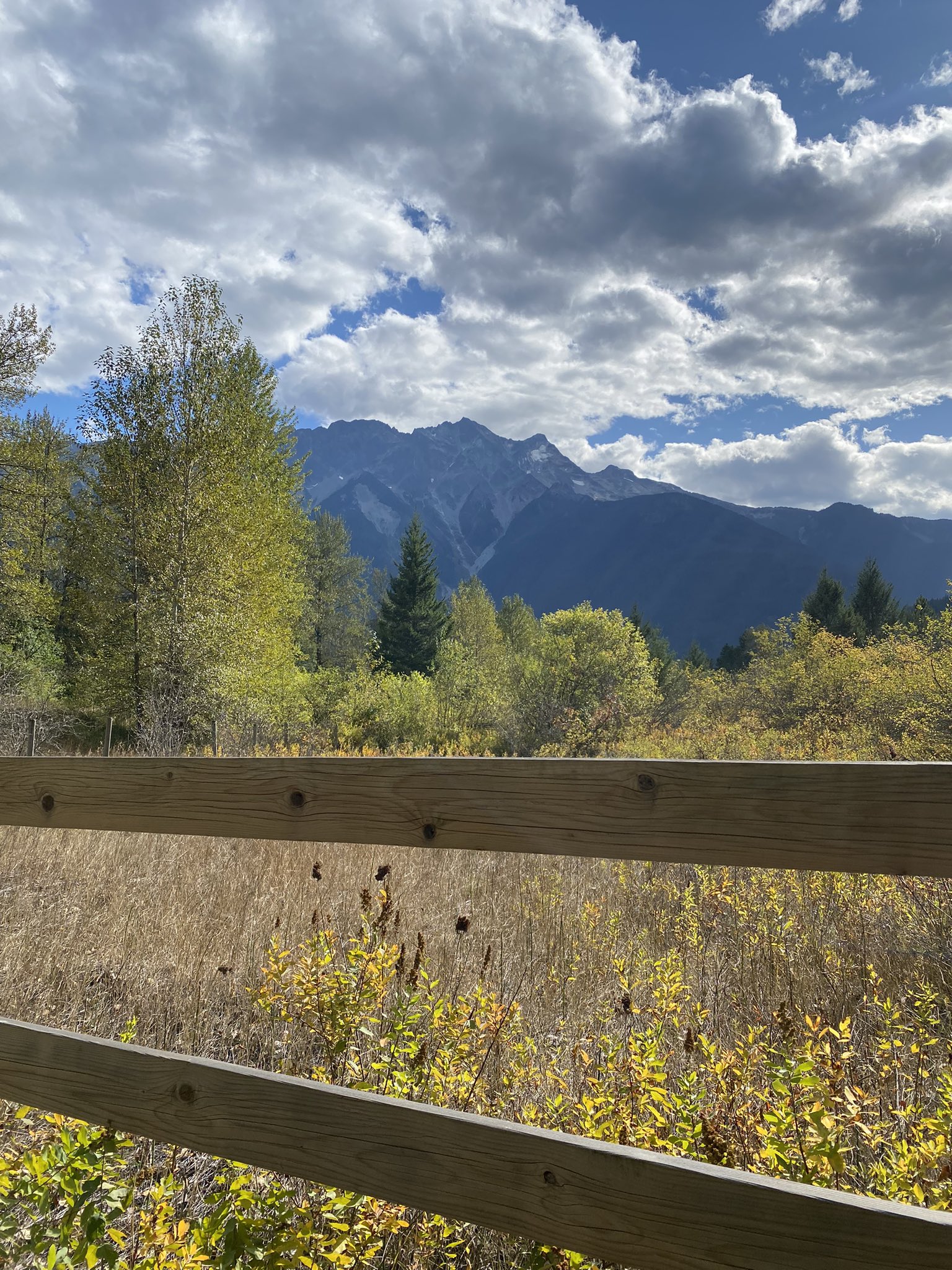 A game-changer': the 9,000 acre project reclaiming the Fens for nature, Conservation